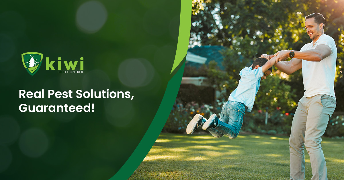 Las Vegas 39 Pest Control Kiwi Pest Control