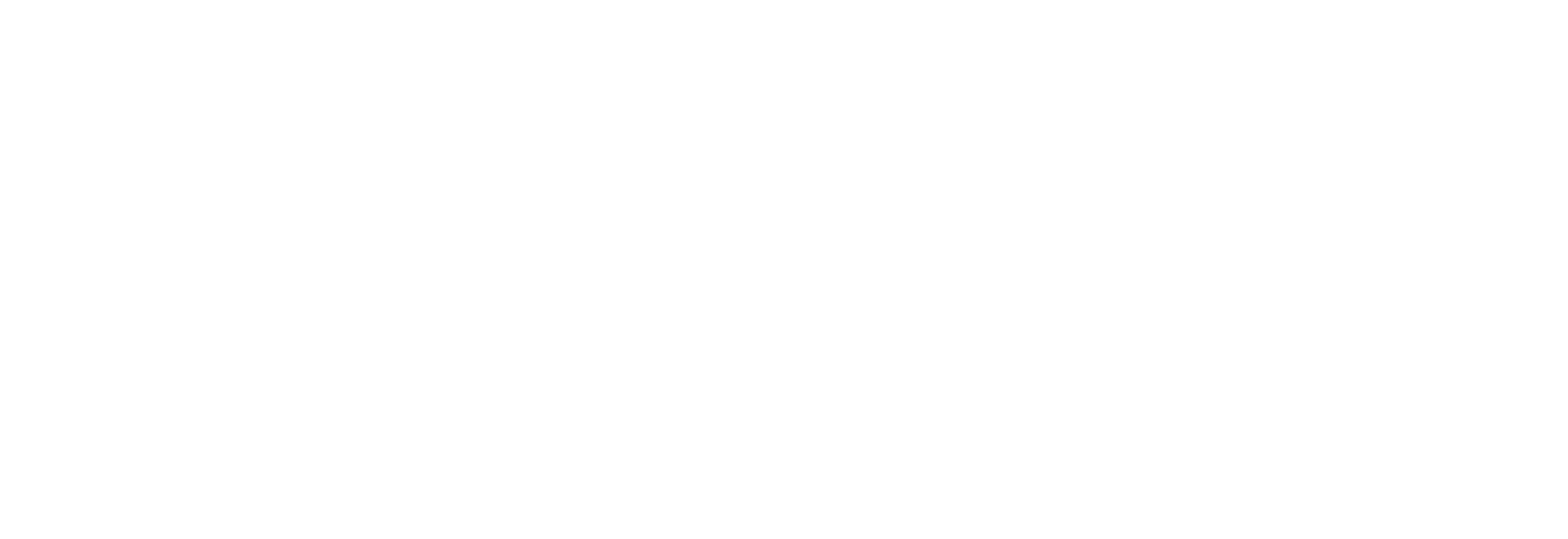 Kiwi Pest Control